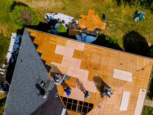 Best Commercial Roofing Services  in Denham Springs, LA