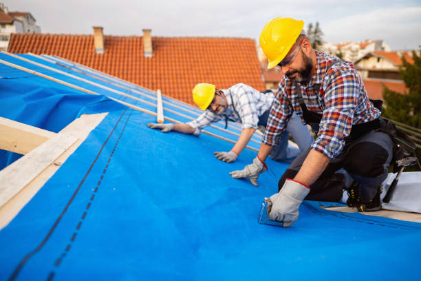 Best Roof Gutter Cleaning  in Denham Springs, LA